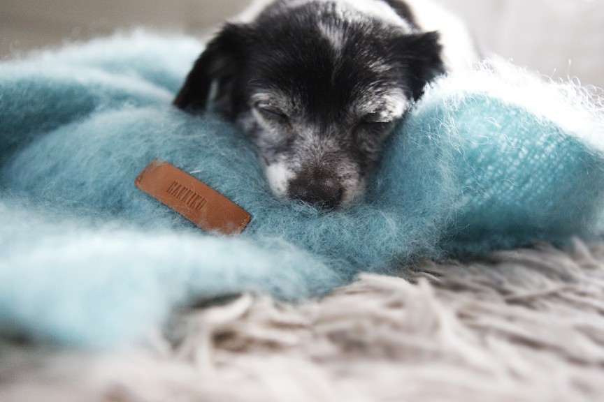 Blue Kare blanket