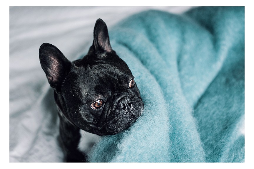 Blue Kare blanket