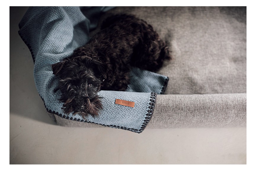 Dog blankets online online