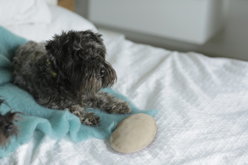 Spille toy Spille toy