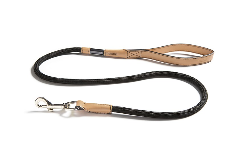 Valeska leash 2