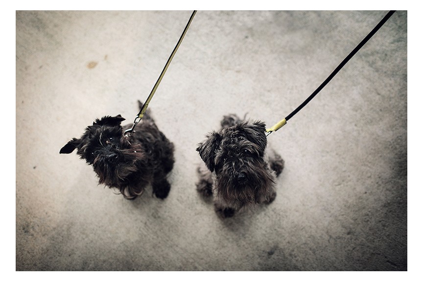 Valeska leash