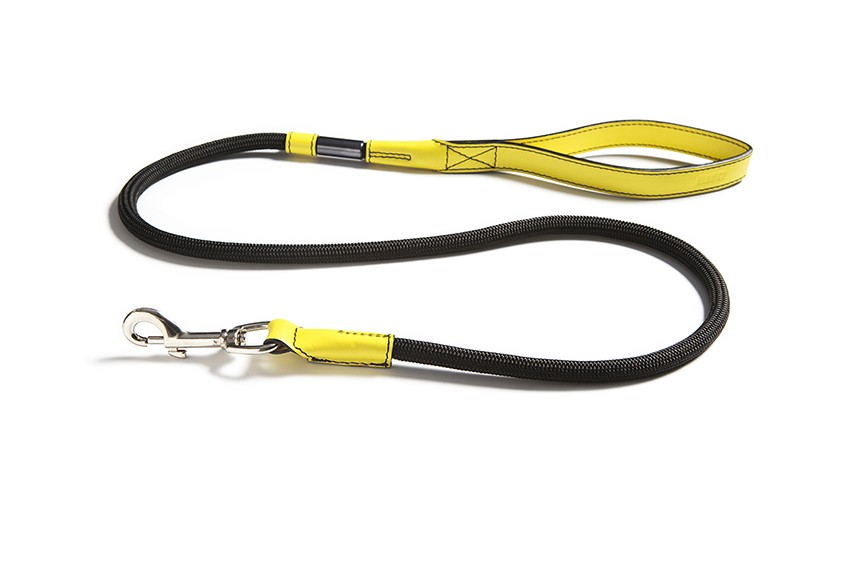 Valeska leash