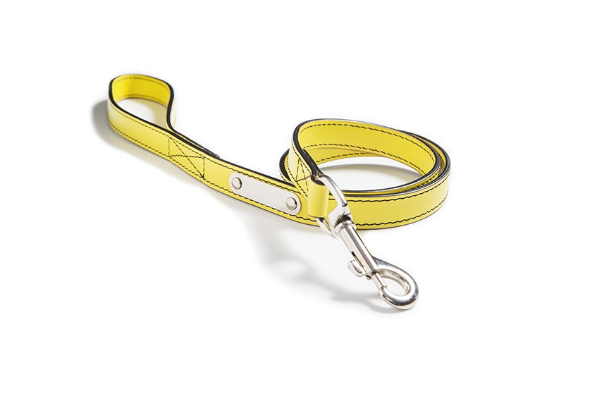 Loki leash