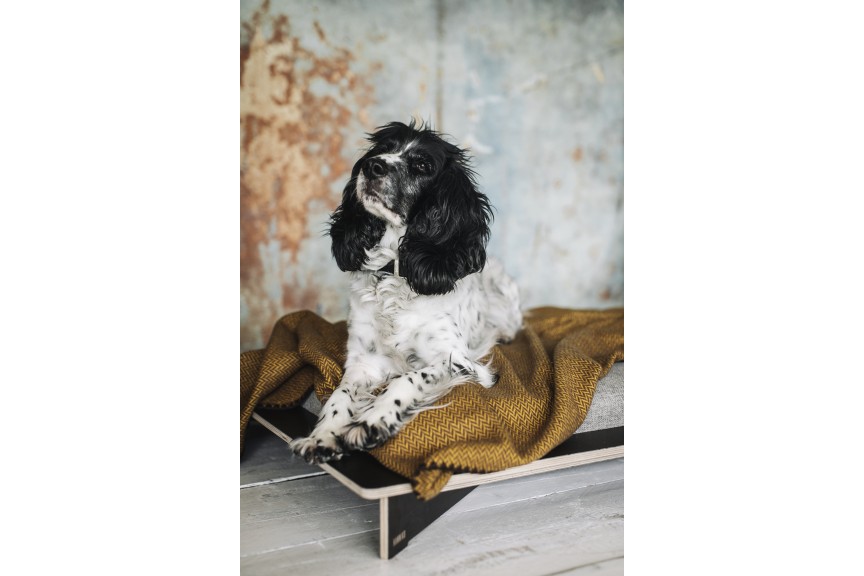 Tang orange blanket Tang orange blanket