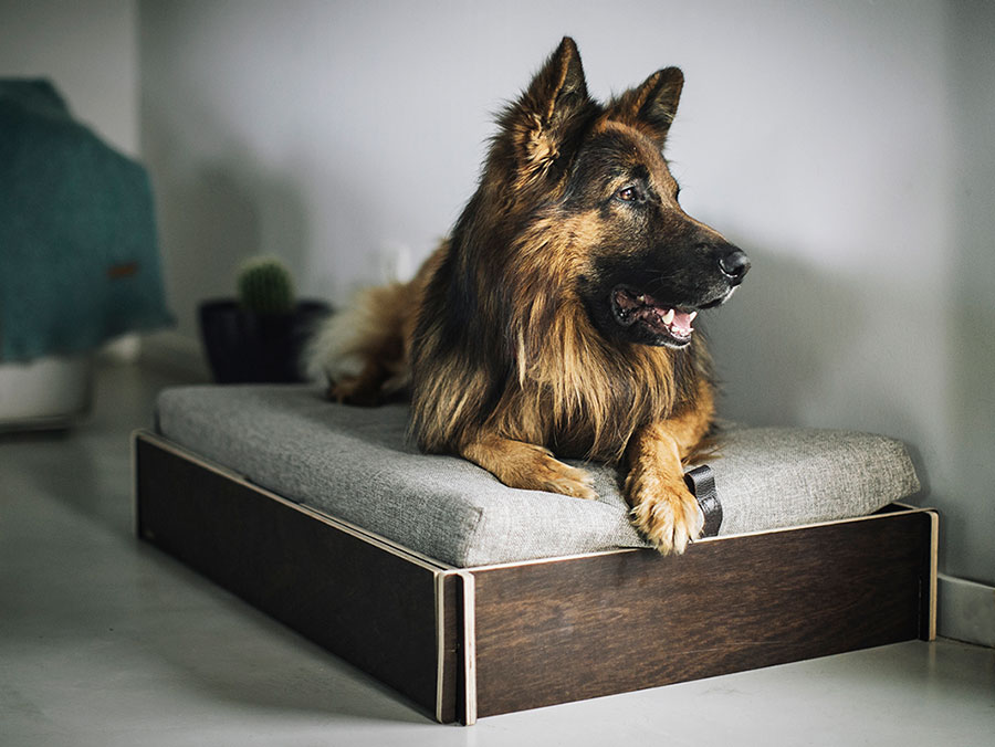 cama para perros grandes modelo Odin de Hanniko