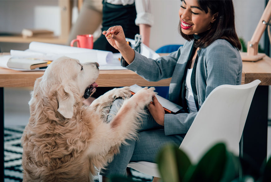 Los perros aportan felicidad en el lugar del trabajo