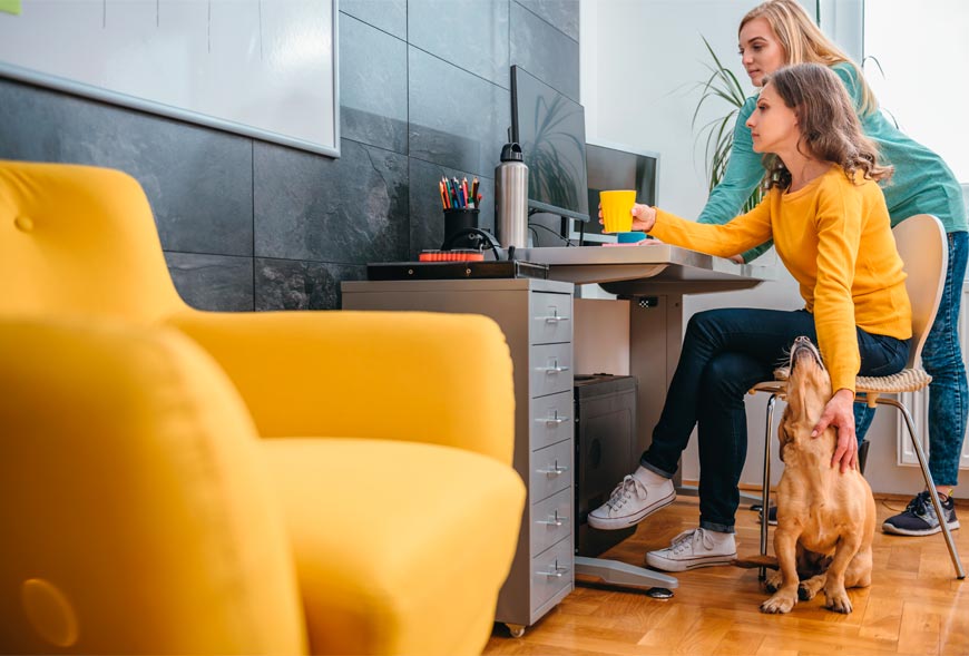 La tranquilidad de los dueños con el perro en la oficina