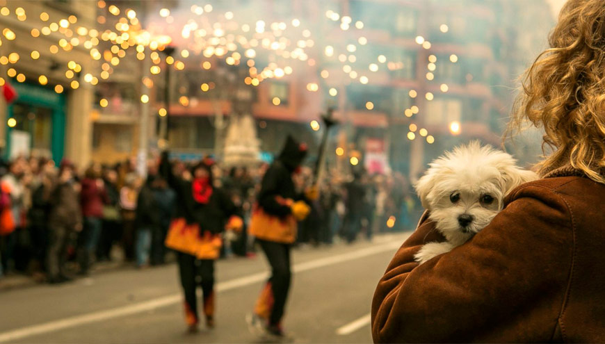 Acostumbrar a tu perro al ruido desde que es un cachorro