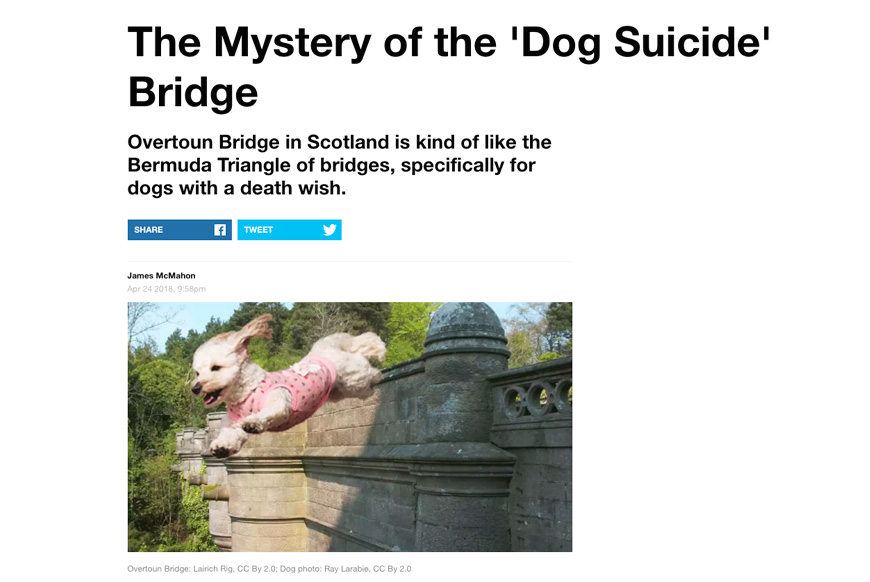 Dog suicide bridge in Scotland