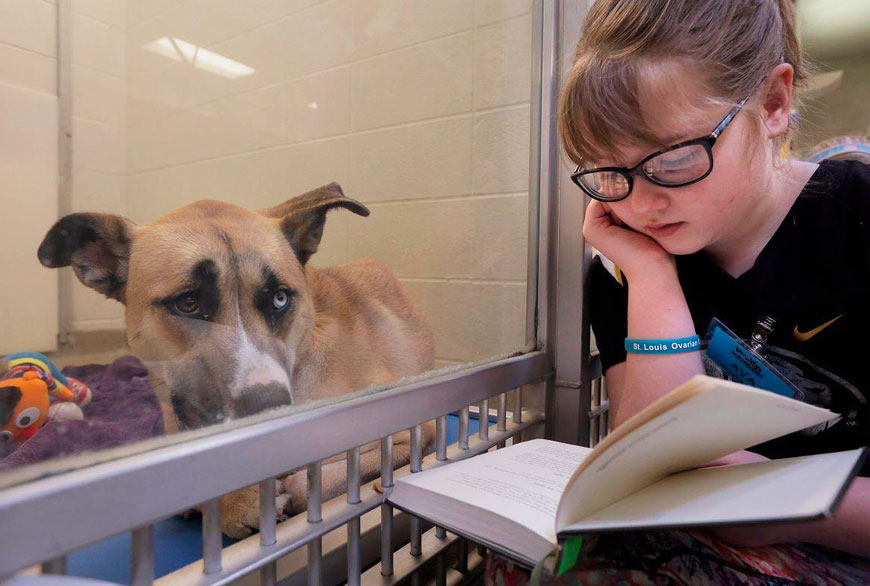 Lectura de niños a perros impulsada por el Humane society of Missouri